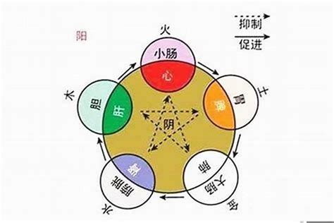 屬土的人不適合的行業|八字五行属性的行业大全，解密各五行行业喜忌